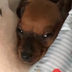 Meet your Posher, Kimberly